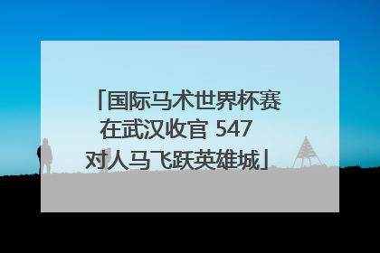 国际马术世界杯赛在武汉收官 547对人马飞跃英雄城