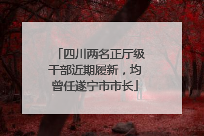 四川两名正厅级干部近期履新，均曾任遂宁市市长