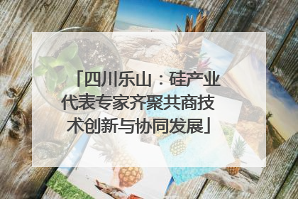 四川乐山：硅产业代表专家齐聚共商技术创新与协同发展