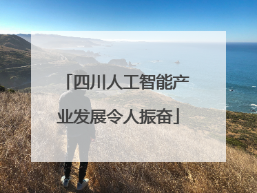 四川人工智能产业发展令人振奋