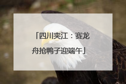 四川夹江：赛龙舟抢鸭子迎端午