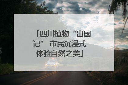 四川植物“出国记” 市民沉浸式体验自然之美