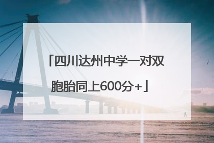 四川达州中学一对双胞胎同上600分+