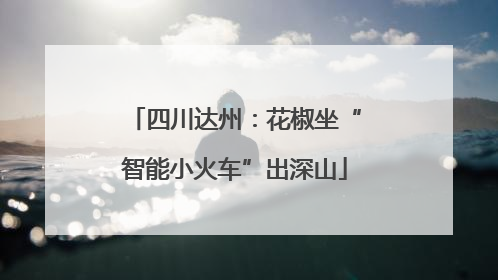 四川达州：花椒坐“智能小火车”出深山