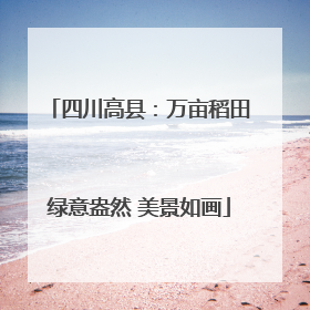 四川高县：万亩稻田绿意盎然 美景如画