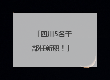 四川5名干部任新职！