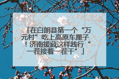 在白朗县第一个“万元村”吃上高原车厘子！济南援藏这样践行“一茬接着一茬干”