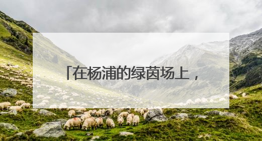 在杨浦的绿茵场上，踢出更多足球小将