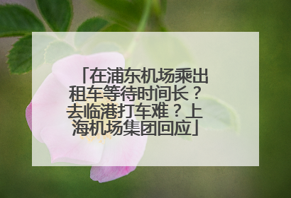 在浦东机场乘出租车等待时间长？去临港打车难？上海机场集团回应