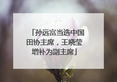 孙远富当选中国田协主席，王晓莹增补为副主席