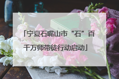 宁夏石嘴山市“石”百千万师带徒行动启动