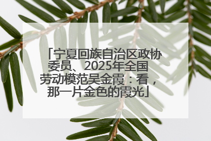 宁夏回族自治区政协委员、2025年全国劳动模范吴金霞：看，那一片金色的霞光