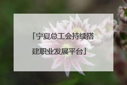 宁夏总工会持续搭建职业发展平台