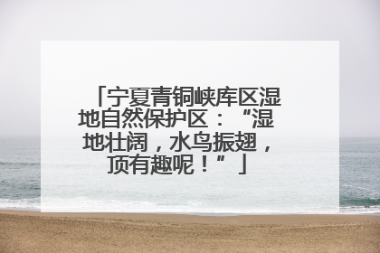 宁夏青铜峡库区湿地自然保护区：“湿地壮阔，水鸟振翅，顶有趣呢！”
