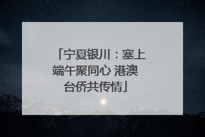 宁夏银川：塞上端午聚同心 港澳台侨共传情