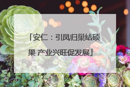 安仁：引凤归巢结硕果 产业兴旺促发展
