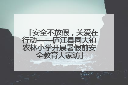 安全不放假，关爱在行动——庐江县同大镇农林小学开展暑假前安全教育大家访