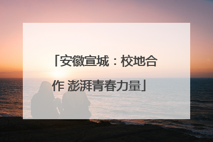 安徽宣城：校地合作 澎湃青春力量