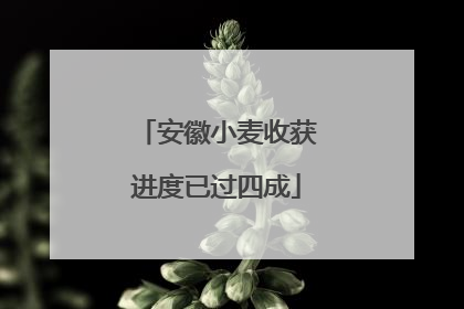 安徽小麦收获进度已过四成