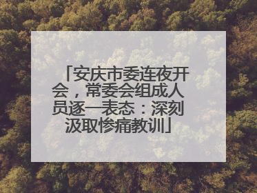 安庆市委连夜开会，常委会组成人员逐一表态：深刻汲取惨痛教训