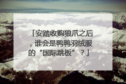 安踏收购狼爪之后，谁会是鸭鸭羽绒服的“国际跳板”？