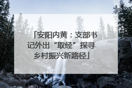 安阳内黄：支部书记外出“取经”探寻乡村振兴新路径