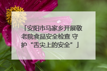 安阳市马家乡开展敬老院食品安全检查 守护“舌尖上的安全”