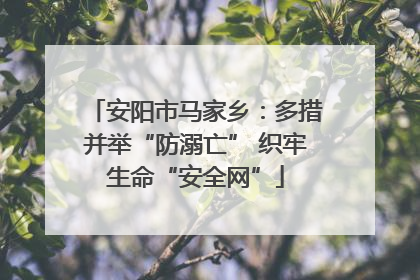 安阳市马家乡：多措并举“防溺亡” 织牢生命“安全网”