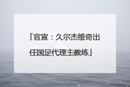 官宣：久尔杰维奇出任国足代理主教练