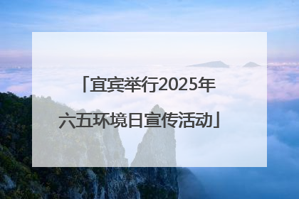 宜宾举行2025年六五环境日宣传活动
