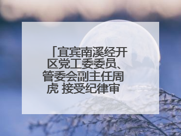 宜宾南溪经开区党工委委员、管委会副主任周虎 接受纪律审查和监察调查