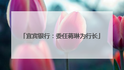 宜宾银行：委任蒋琳为行长