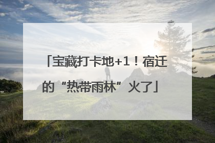 宝藏打卡地+1！宿迁的“热带雨林”火了