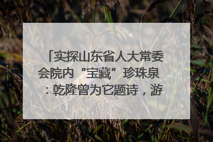 实探山东省人大常委会院内“宝藏”珍珠泉：乾隆曾为它题诗，游客无需预约免费游览