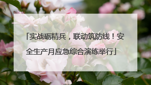 实战砺精兵，联动筑防线！安全生产月应急综合演练举行