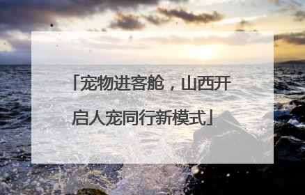 宠物进客舱，山西开启人宠同行新模式