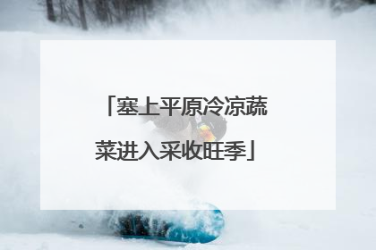 塞上平原冷凉蔬菜进入采收旺季