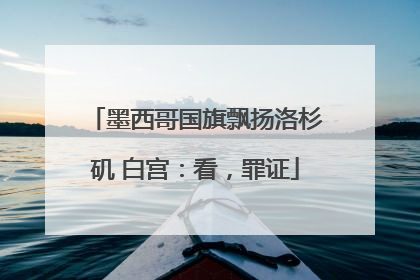 墨西哥国旗飘扬洛杉矶 白宫：看，罪证