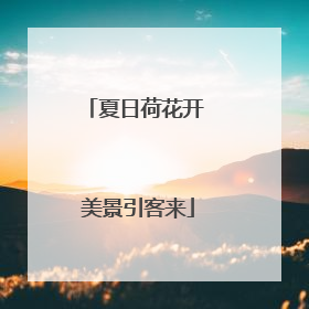 夏日荷花开 美景引客来