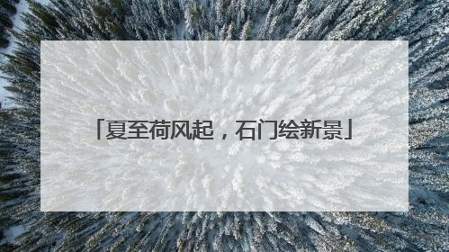 夏至荷风起，石门绘新景