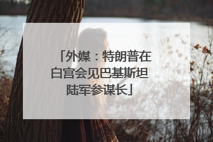 外媒：特朗普在白宫会见巴基斯坦陆军参谋长