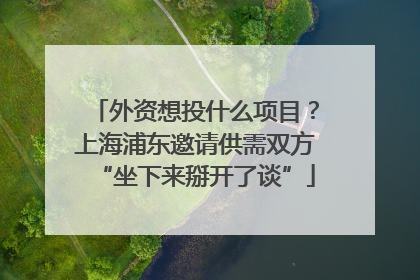 外资想投什么项目？上海浦东邀请供需双方“坐下来掰开了谈”