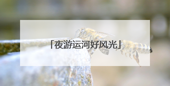 夜游运河好风光