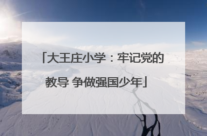 大王庄小学：牢记党的教导 争做强国少年