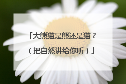 大熊猫是熊还是猫？（把自然讲给你听）