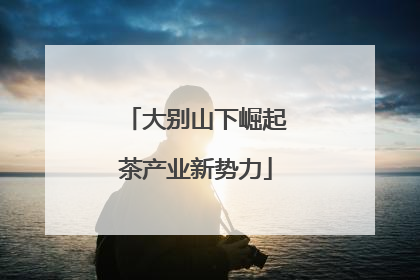 大别山下崛起茶产业新势力