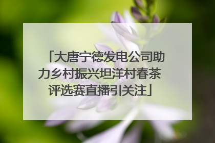 大唐宁德发电公司助力乡村振兴坦洋村春茶评选赛直播引关注