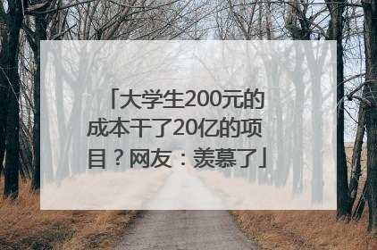 大学生200元的成本干了20亿的项目？网友：羡慕了