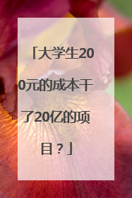 大学生200元的成本干了20亿的项目？