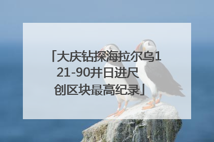 大庆钻探海拉尔乌121-90井日进尺 创区块最高纪录